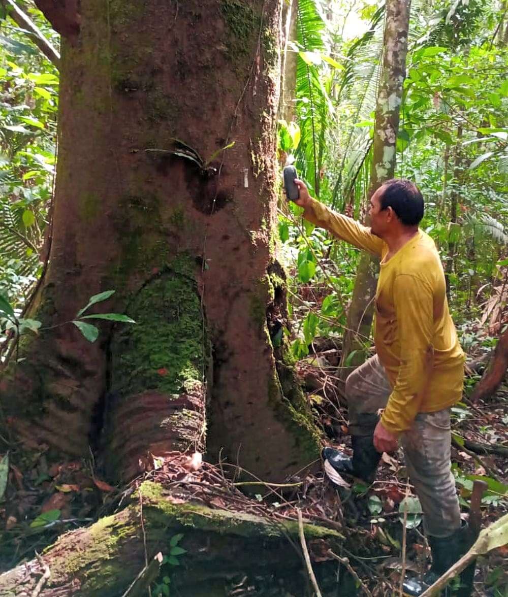 ESG: Why Global Investors Have Their Eyes on the Amazon