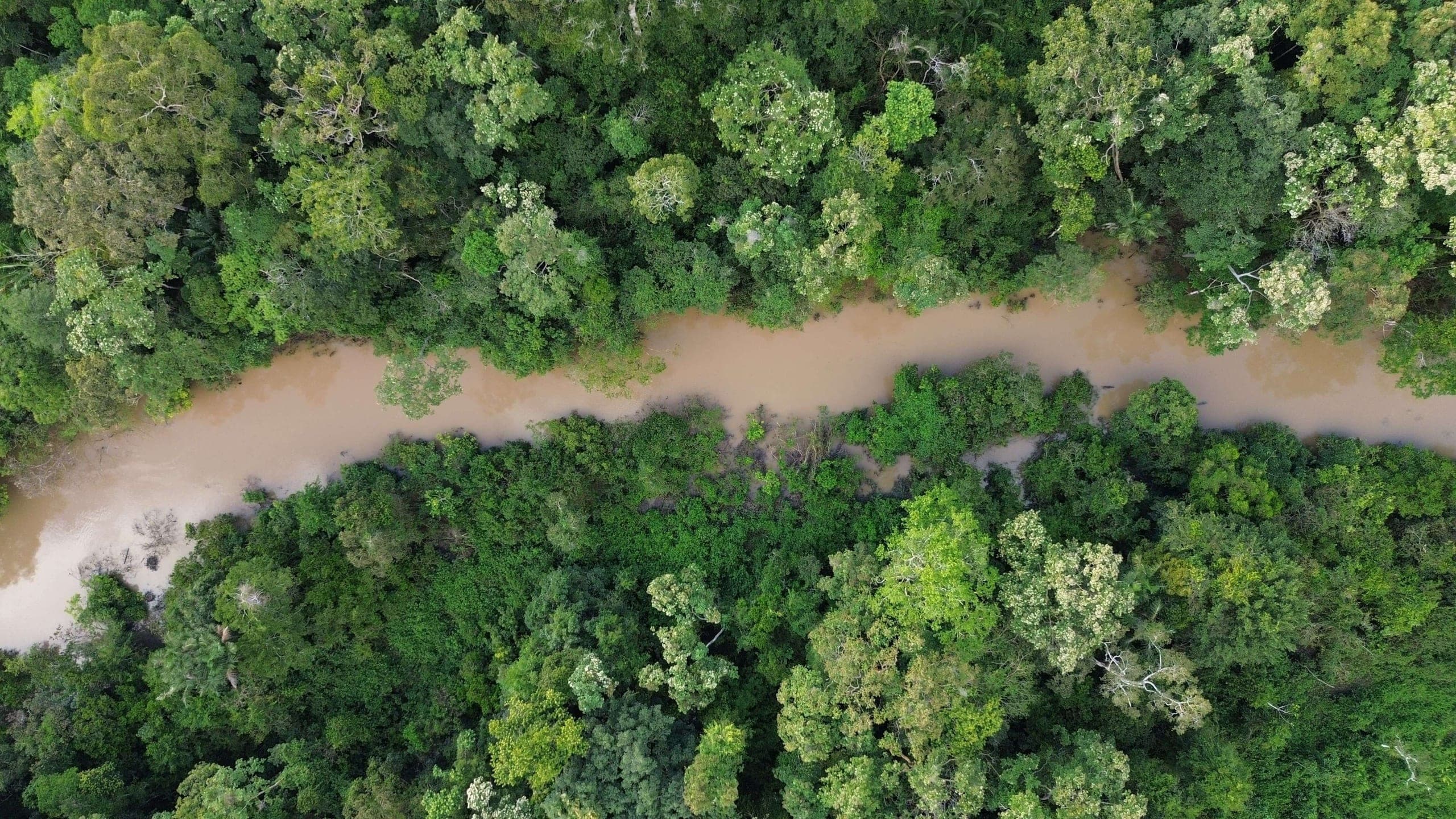 97% native vegetation preserved