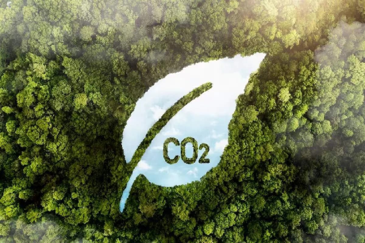 Expanding carbon market