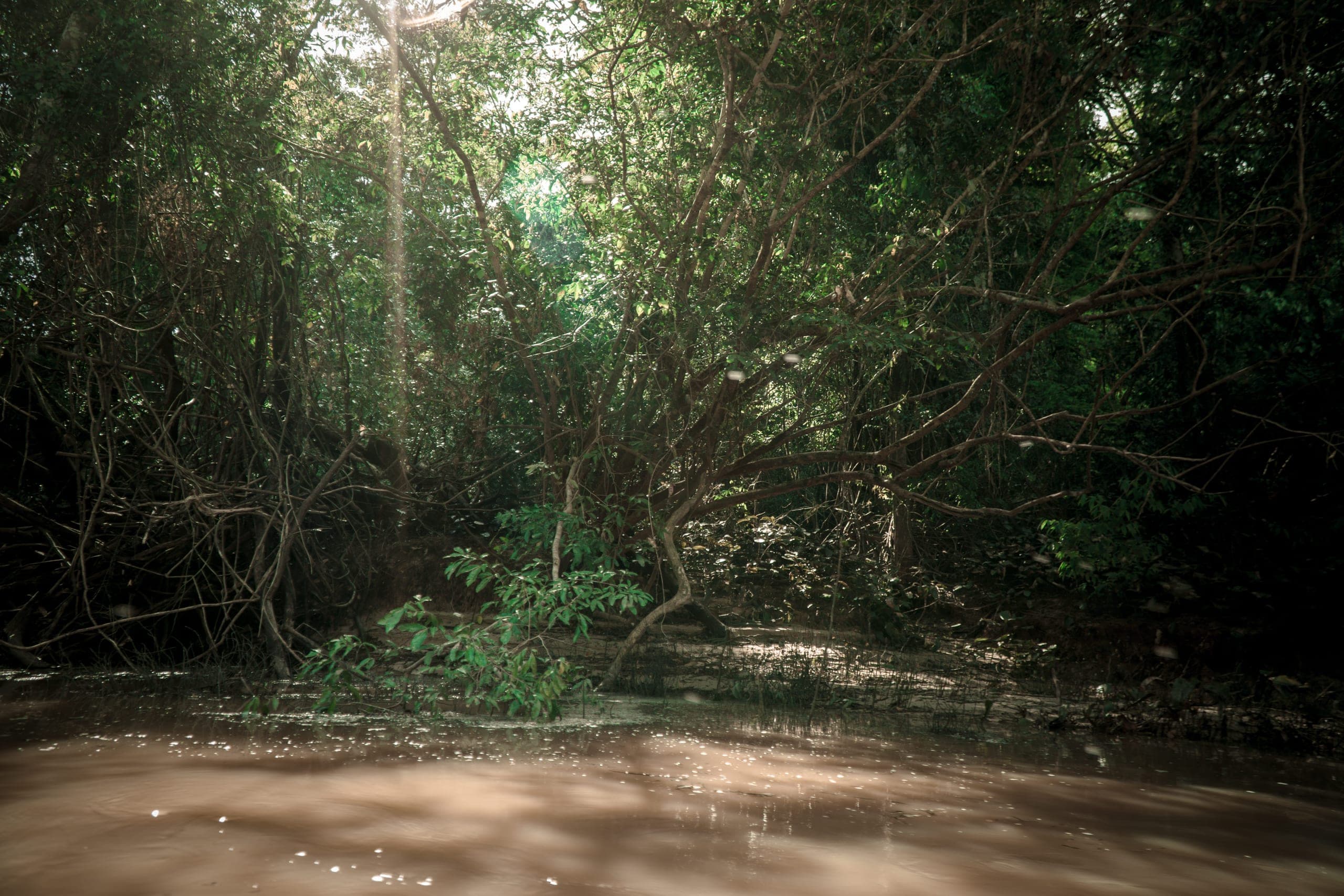 Rio Jurupari