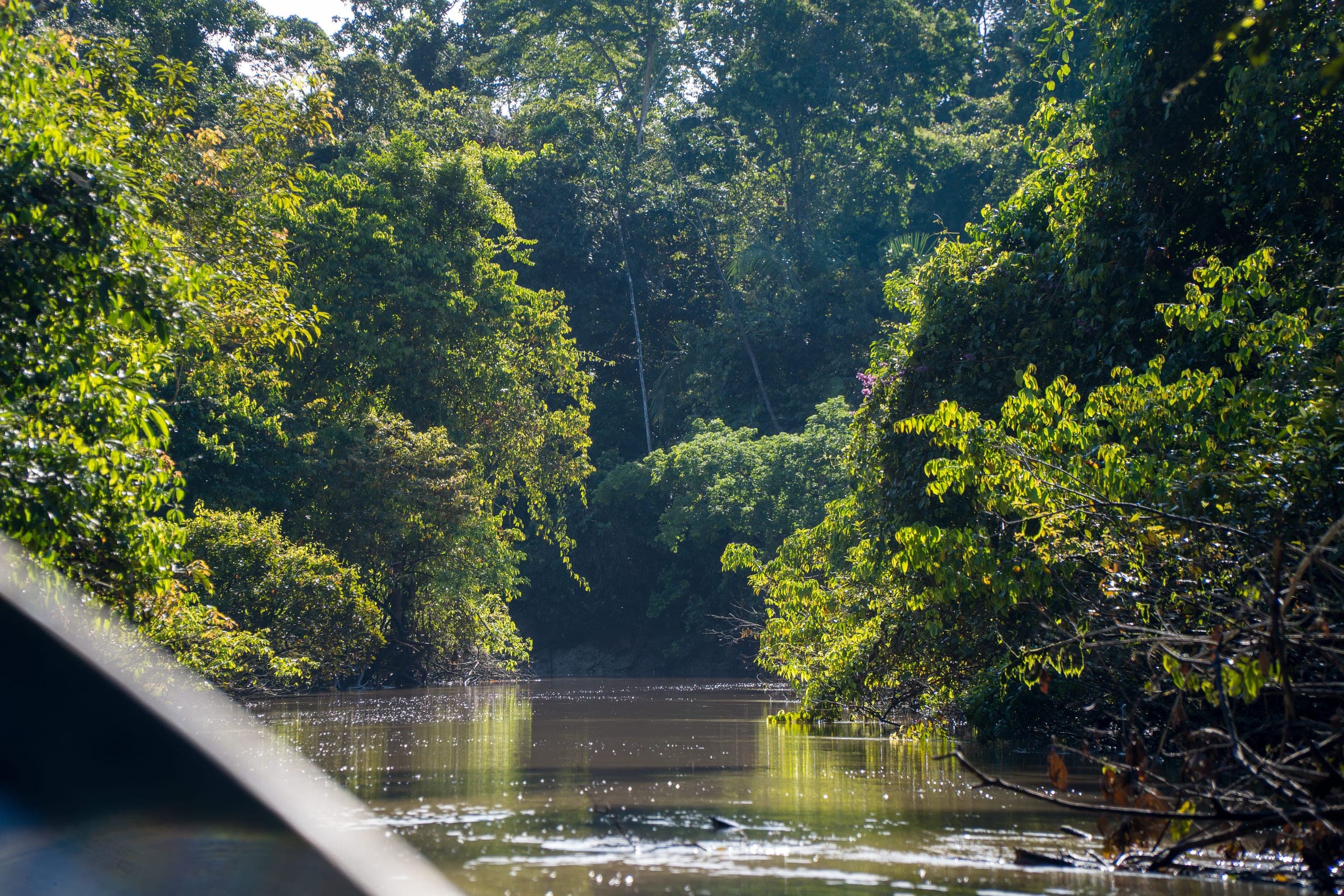 Rio Jurupari
