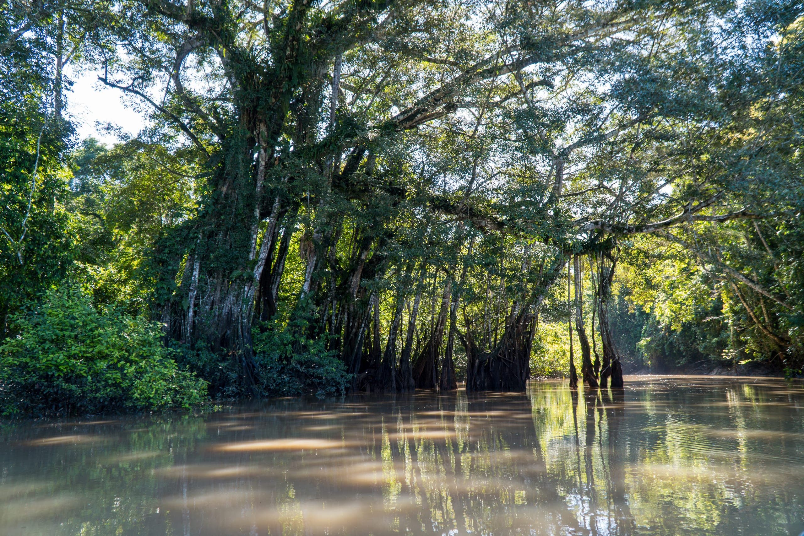 Rio Jurupari