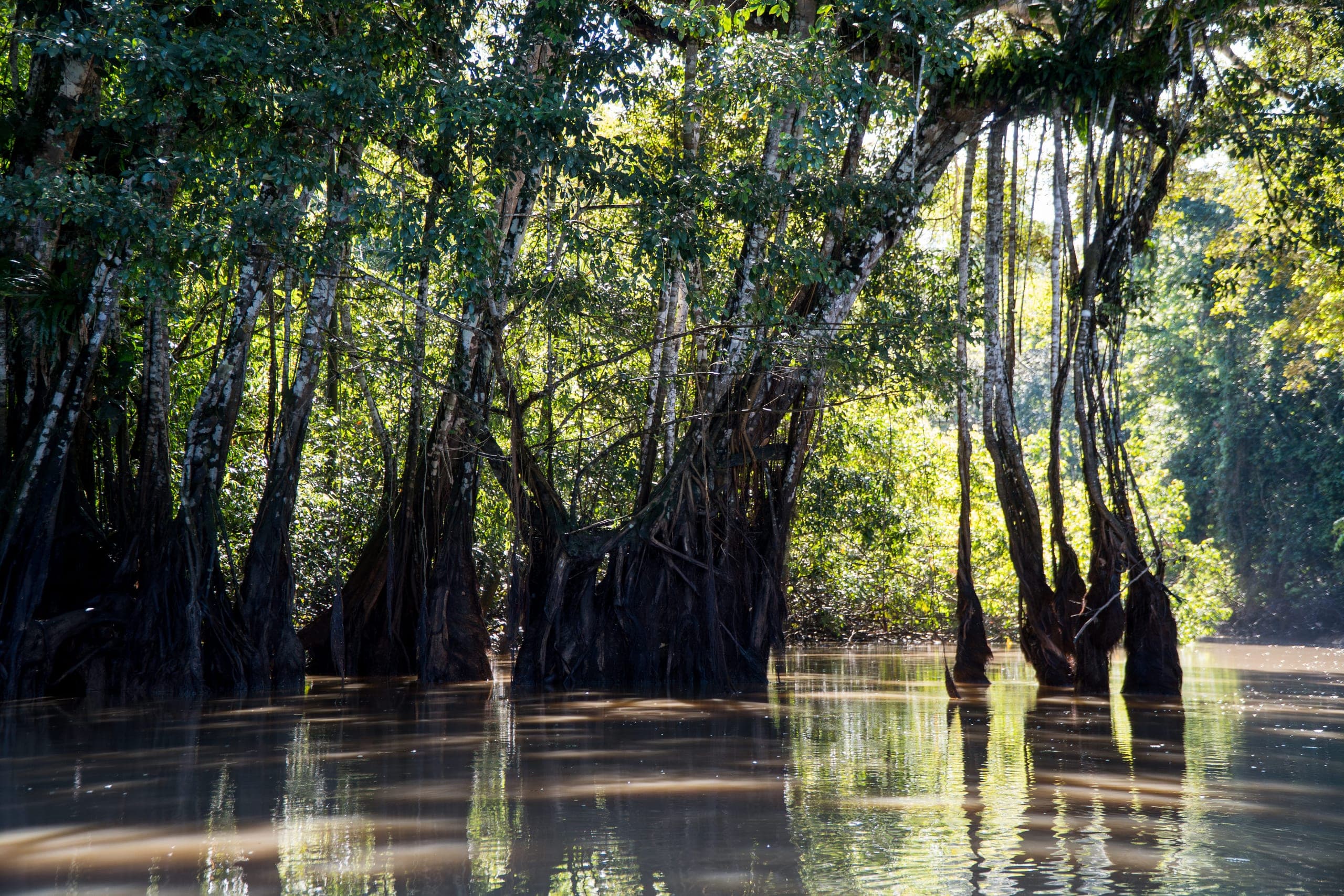 Rio Jurupari
