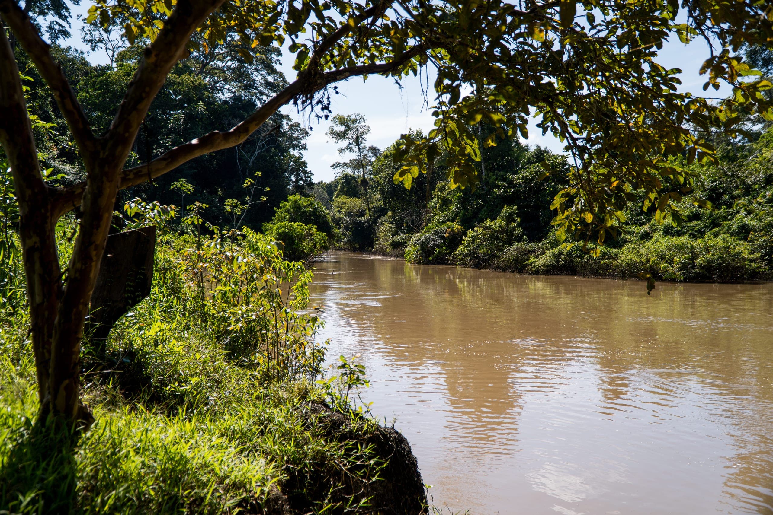 Rio Jurupari