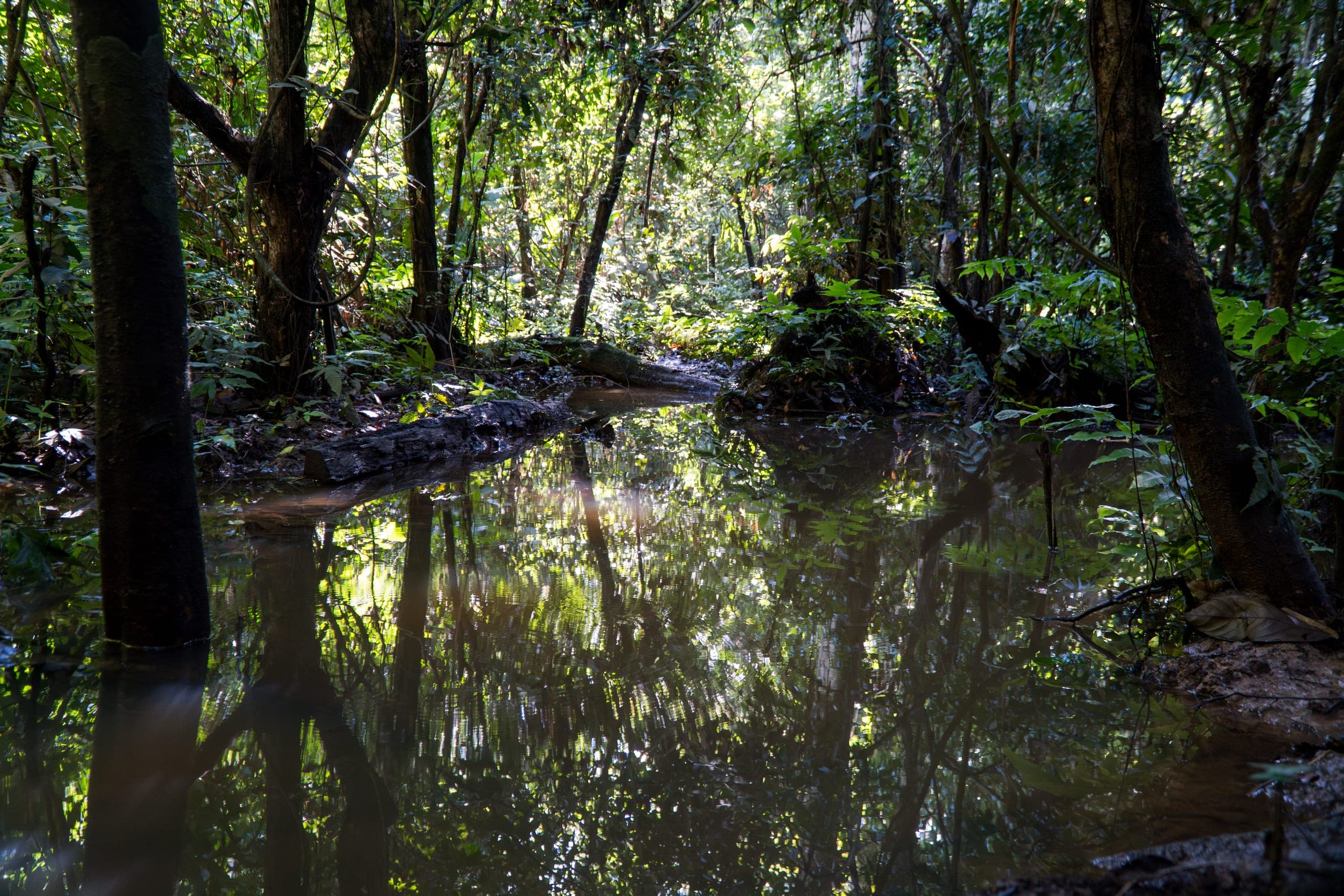 Rio Jurupari