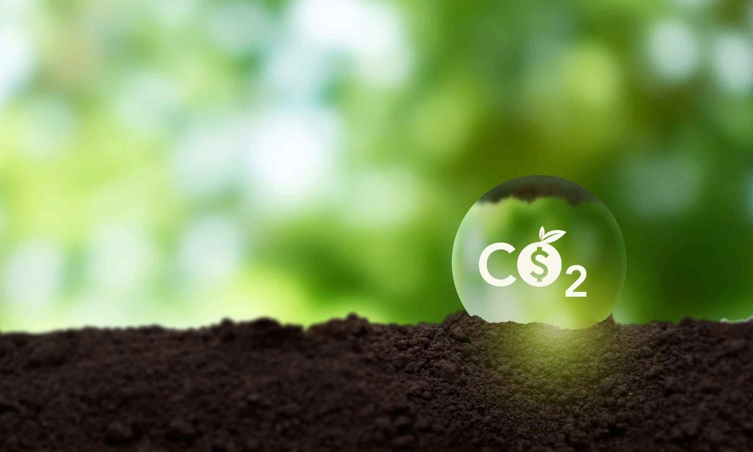 Carbon Market 2026: Record Opportunities for the Amazon